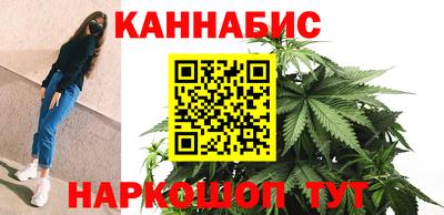 шишки Берёзовский