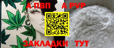 шишки Берёзовский
