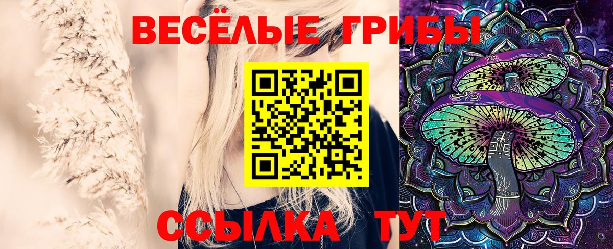 Галлюциногенные грибы Psilocybine cubensis Кириши