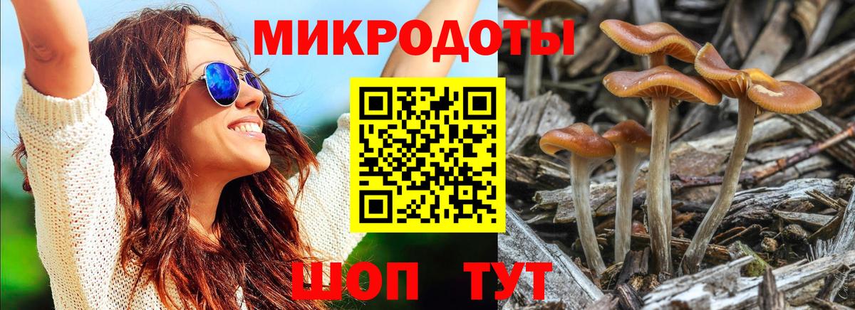 хочу   Псилоцибиновые грибы ЛСД  Вход с VPN  Кириши 